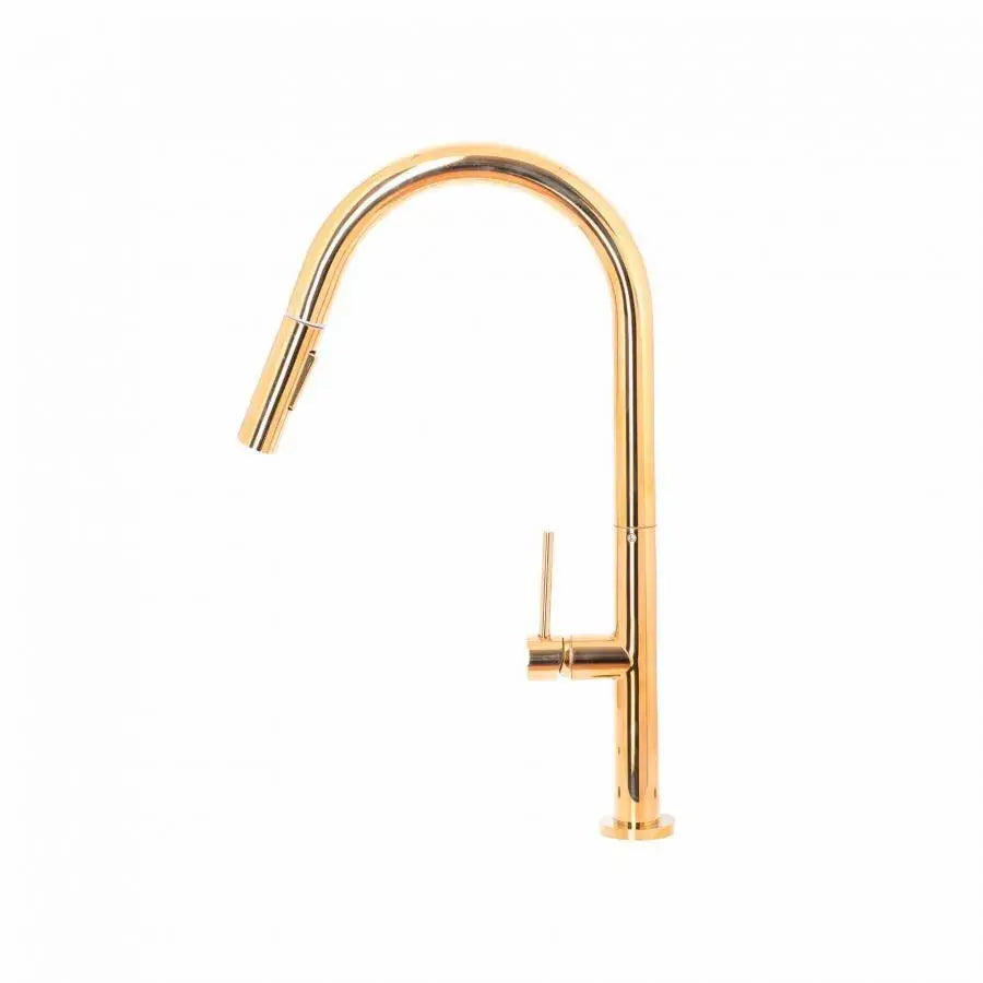 Bateria kuchenna z wyciąganą wylewką prysznicową, mosiądz sanitarny, złoty, CF2043