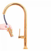 Bateria kuchenna z wyciąganą wylewką prysznicową, mosiądz sanitarny, złoty, CF2043