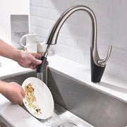 Bateria kuchenna z wyciąganą wylewką prysznicową, mosiądz sanitarny, chrom, W058