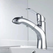 Bateria umywalkowa z wyciąganą wylewką prysznicową, mosiądz sanitarny, chrom, OD/2030