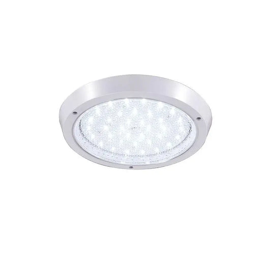Lampa sufitowa LED Igor, 22W, 6000K, biała