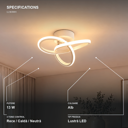 LL563WH — 4. Specifications - LL563WH