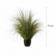 Aranjament Floral, 75 cm, Iarbă cu Frunze Vărgate, Plastic, Verde