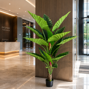 Decorațiune Alocasia, 2 tulpini, Plastic, 190 cm, Verde