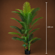 Decorațiune Palmier Kentia, 3 tulpini, Plastic, 17 frunze, 220 cm, Verde