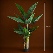 Decorațiune Strelitzia, 2 trunchiuri, Plastic, 190 cm, Verde