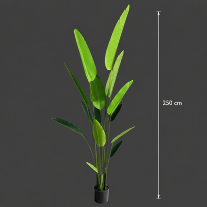 Decorațiune Strelitzia Nicolai, 250 cm, Verde