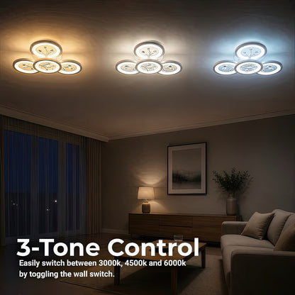 LT213_4WH — LT213_4WH - 4. 3-TONE CONTROL.jpg
