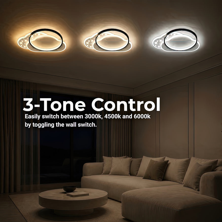 LT643_500BK — LT643_500BK - 4. 3-TONE CONTROL.jpg