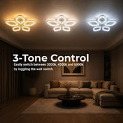LT768_5GD — LT768_5GD - 4. 3-TONE CONTROL.jpg