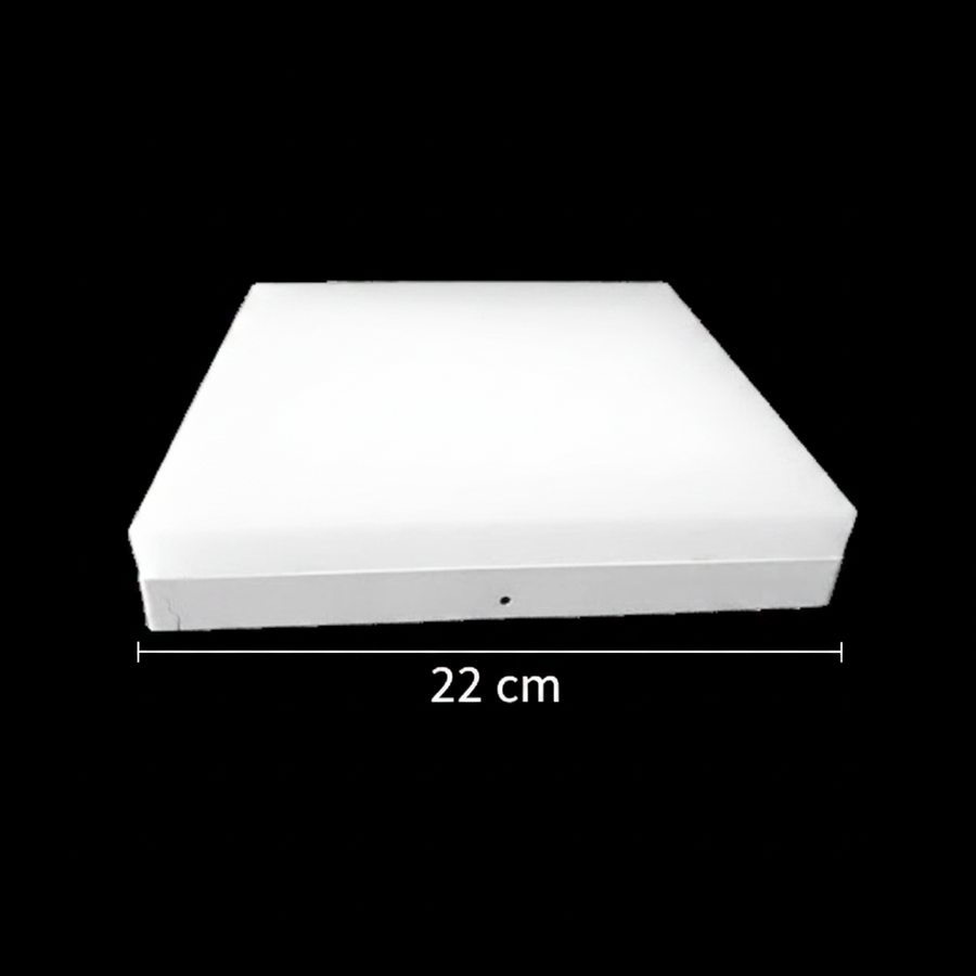 Lampa sufitowa LED PL200/12P 19W Cool Light 6000k Białe lampy sufitowe LED Domyślny tytuł Alessandro Design