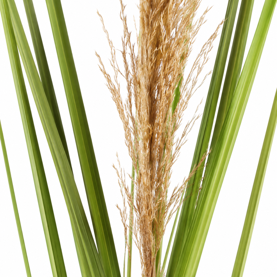 Sztuczna roślina Trawa ozdobna, 110 cm, trzcina i trawa, zielono-brązowa, bez doniczki