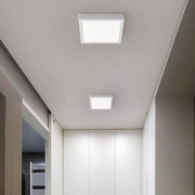 Lampa sufitowa LED Antonio 24W 6000K